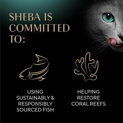Sheba Perfect Portions Kitten Wet Cat Food Pate Chicken Entree, Salmon Entree, and Turkey Entree, 2.6 oz. Twin-Pack Trays (24 Count, 48 Servings) - Image 9