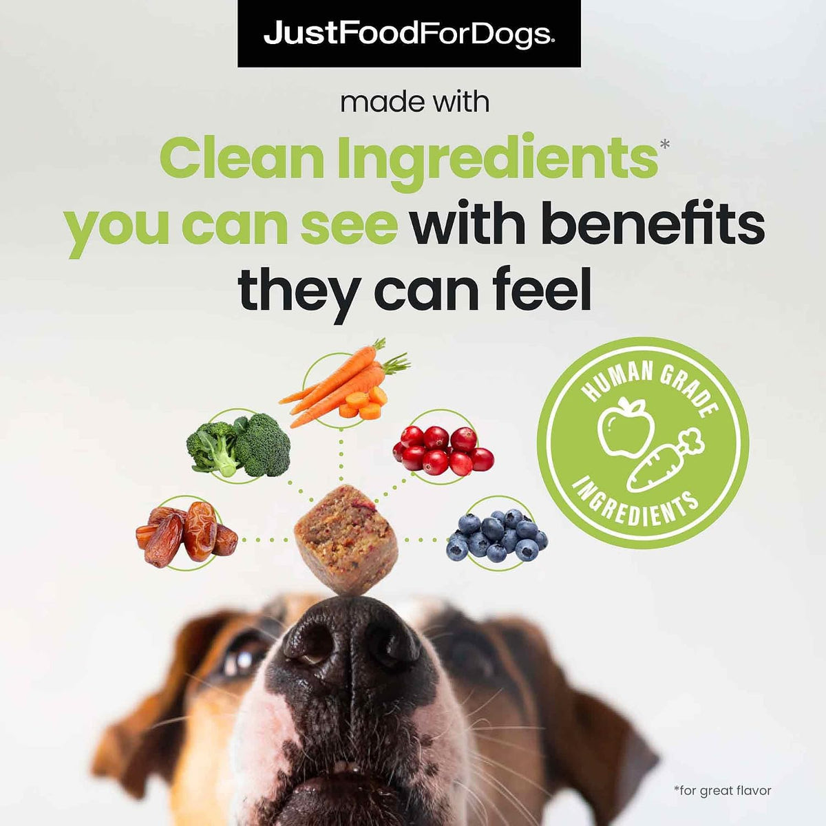 Close up of JustFoodForDogs soft chews texture