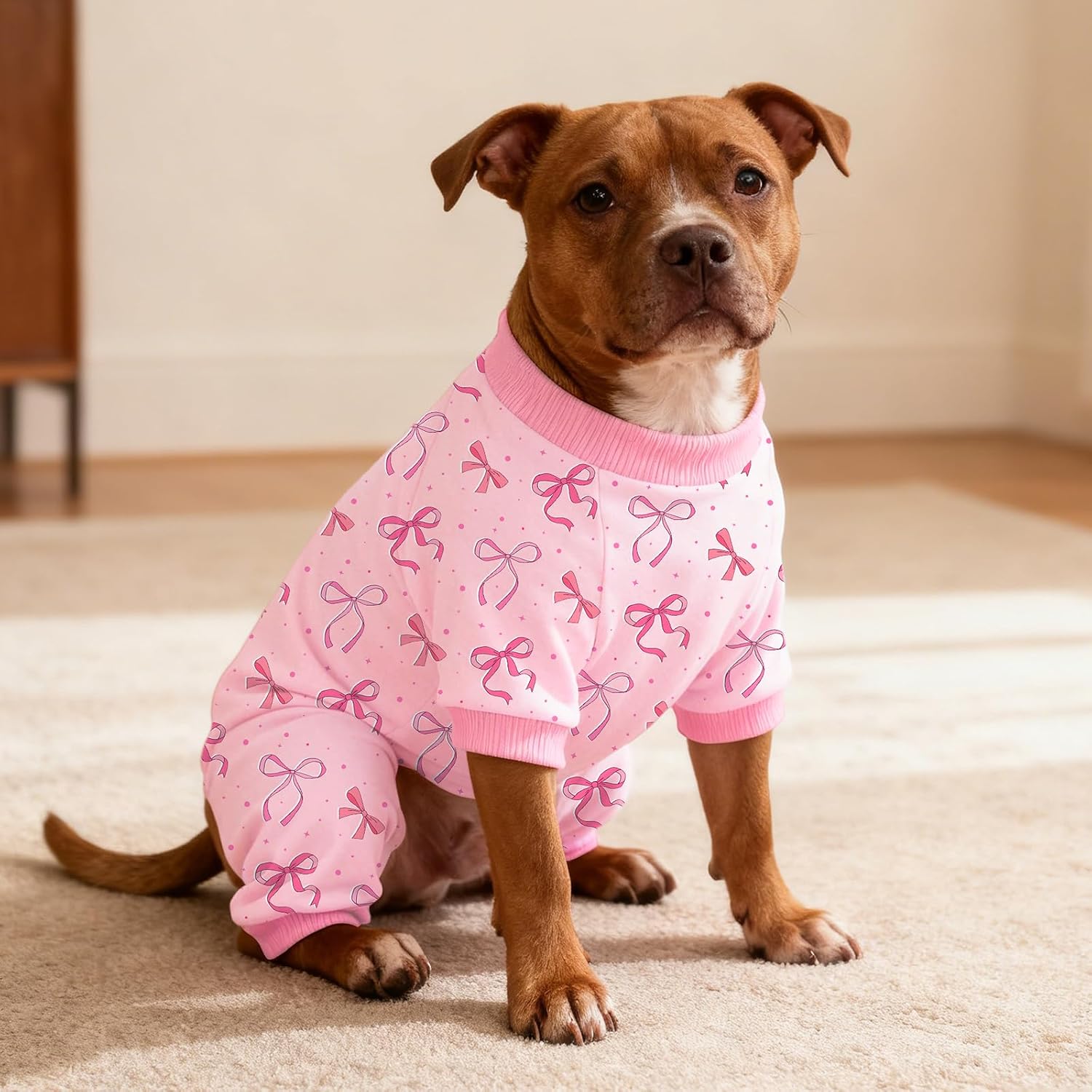 Comfortable anti licking surgical onesie for female and male puppies.
