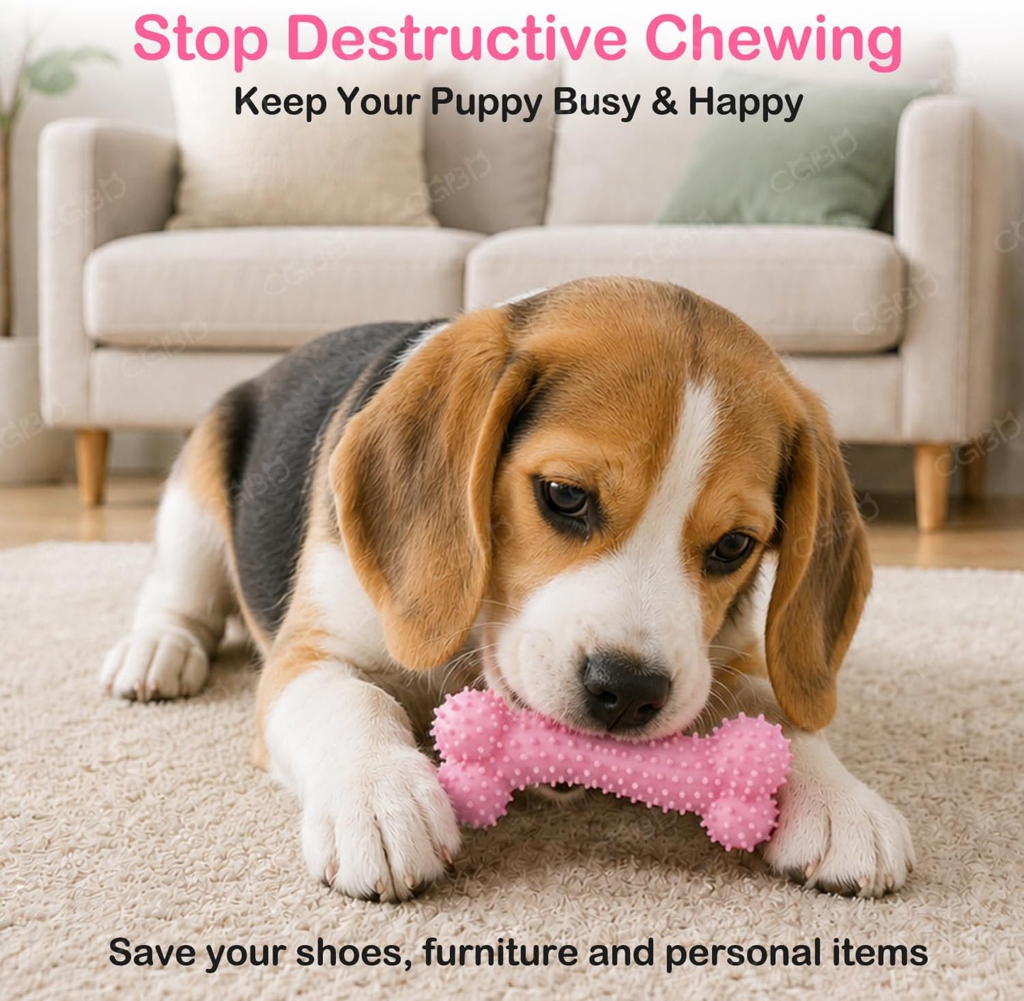 Top view of CGBD puppy toys set for dental care
