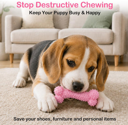 Top view of CGBD puppy toys set for dental care