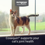 Nutramax Cosequin Cat Joint Supplement Packaging Back View