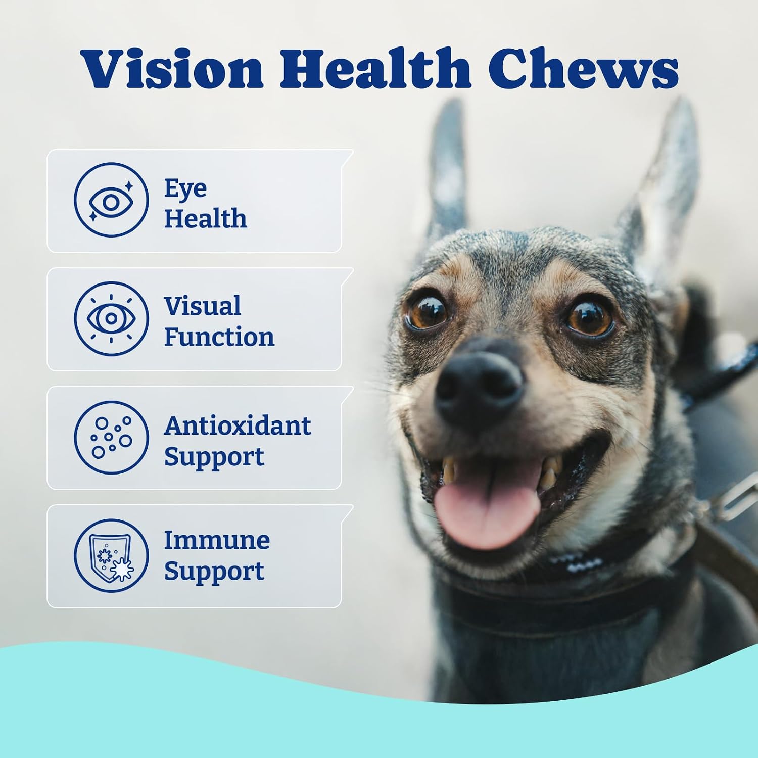 YoYoBay dog vision supplement jar showing duck and pear flavor icon
