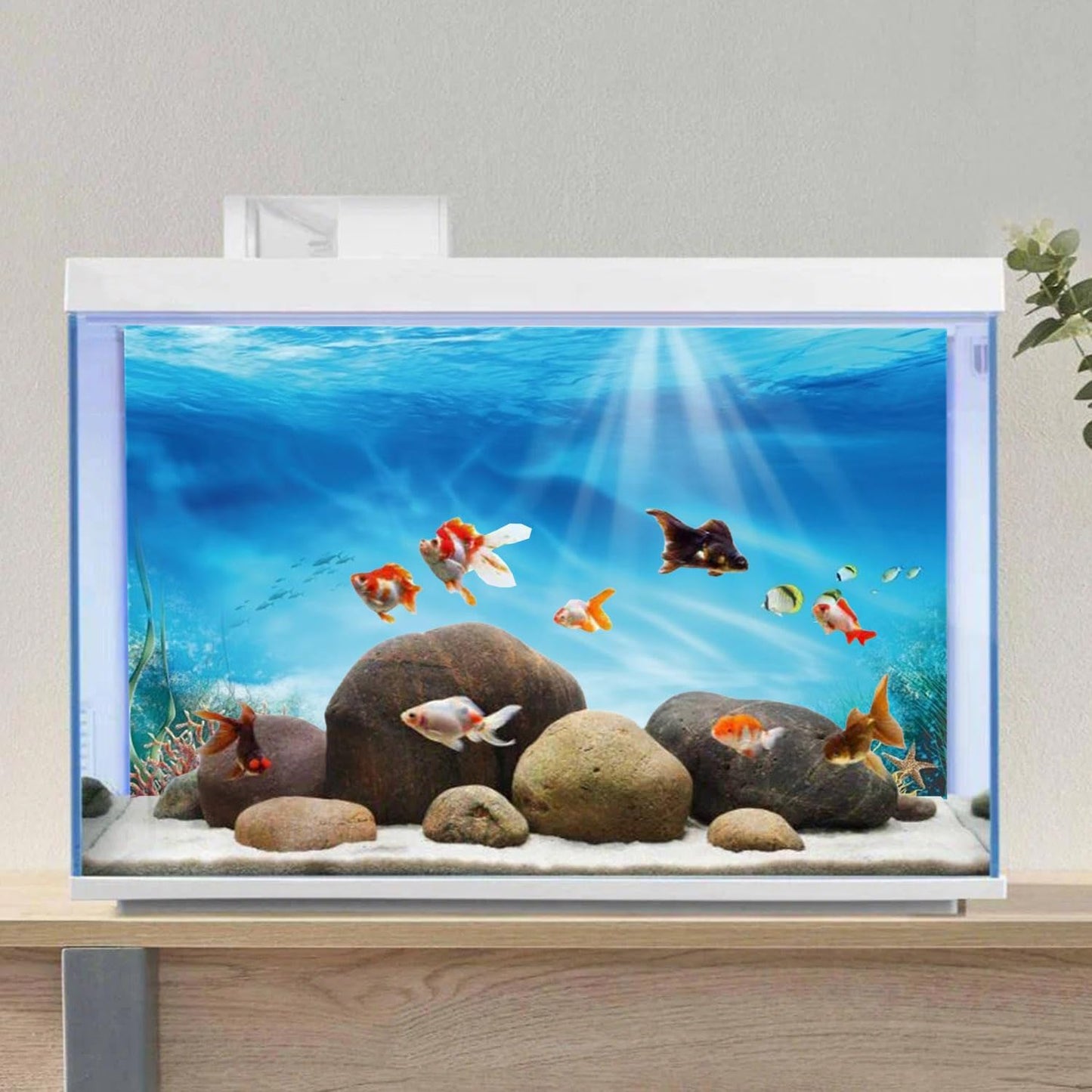 Adhesive aquarium background installation kit with premium vinyl cloth