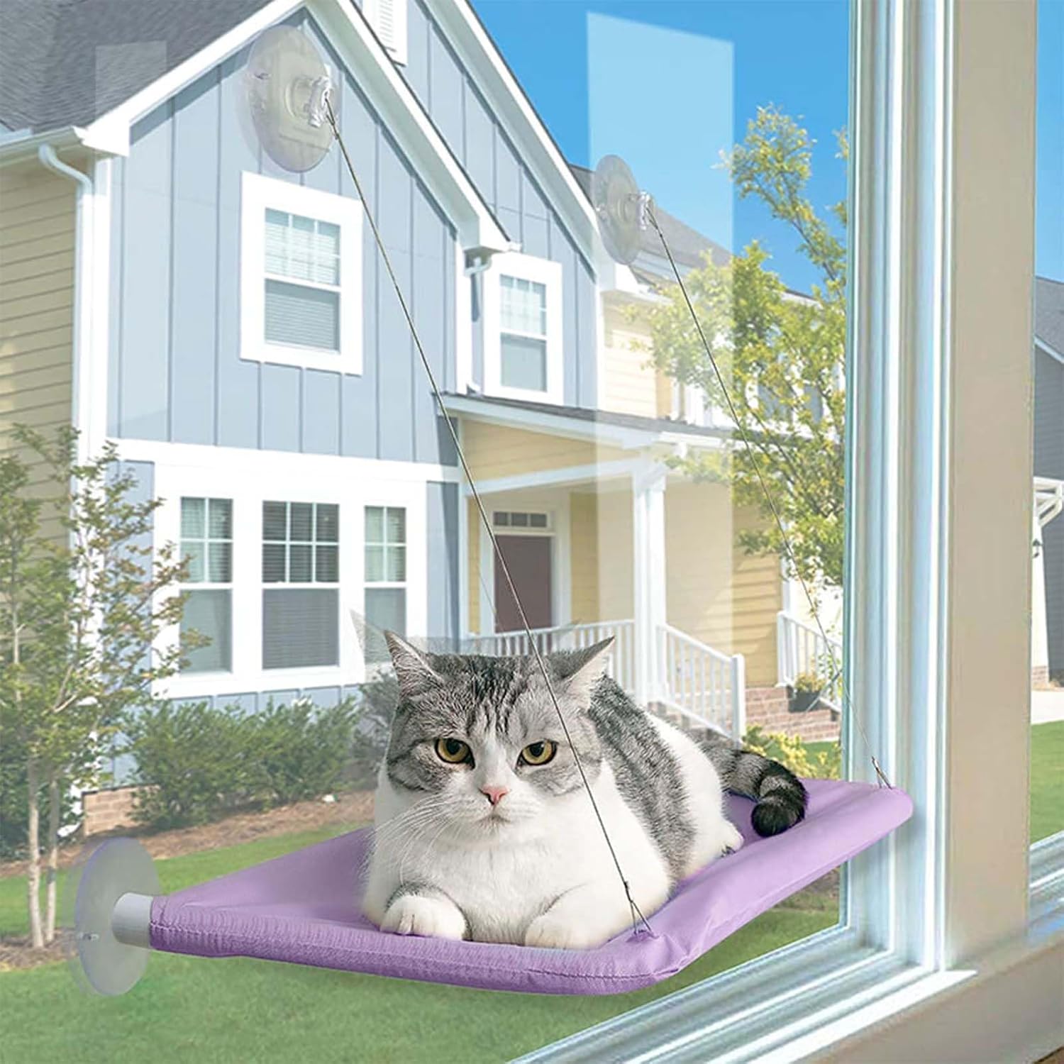 Underneath view of the space saving mounted cat bed illustrating the secure wire attachment system.