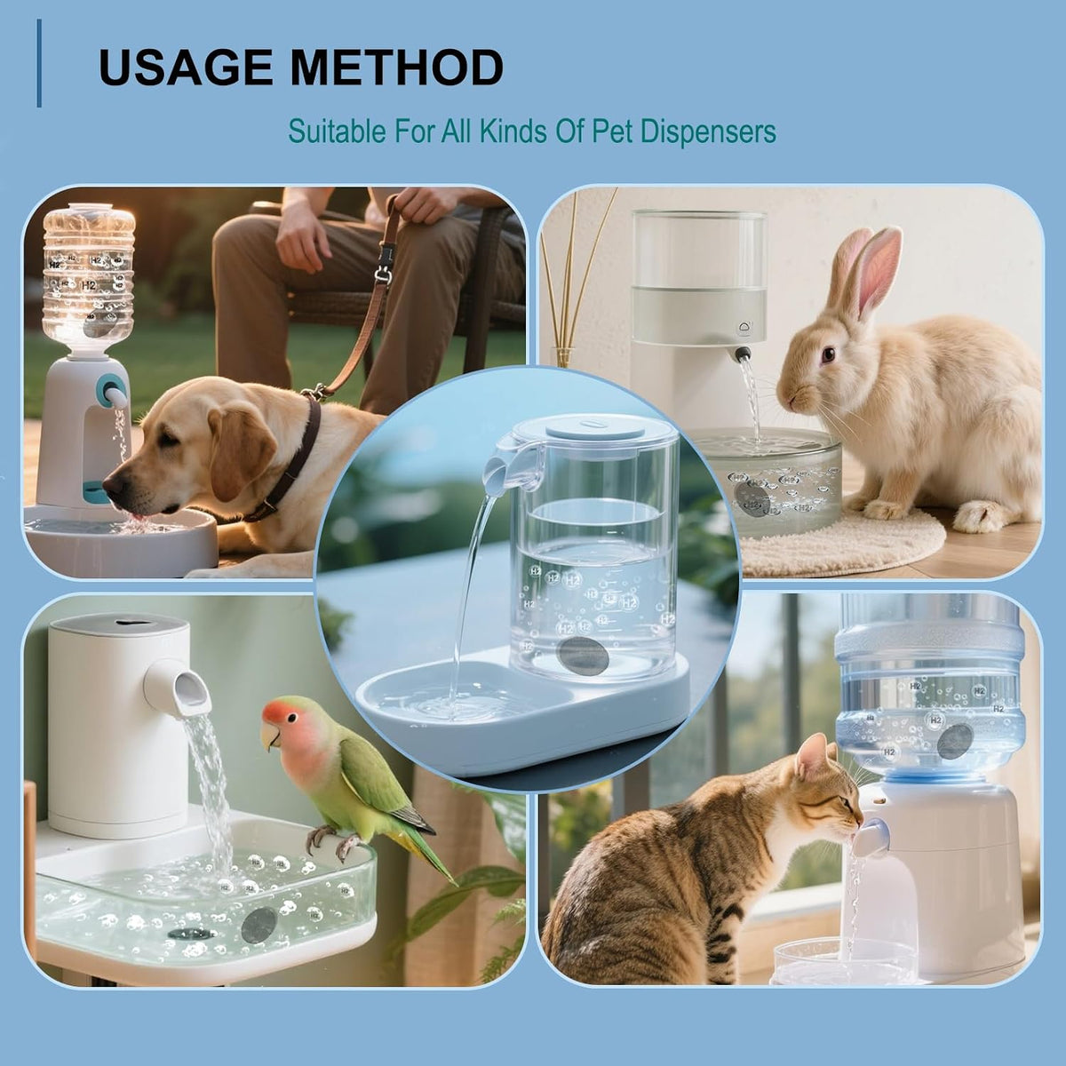 Dog drinking from a water bowl with hydrogen tablet added