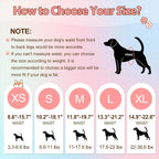 Ambreview elastic waistband pull up doggie diaper showing stretchable full wrap design