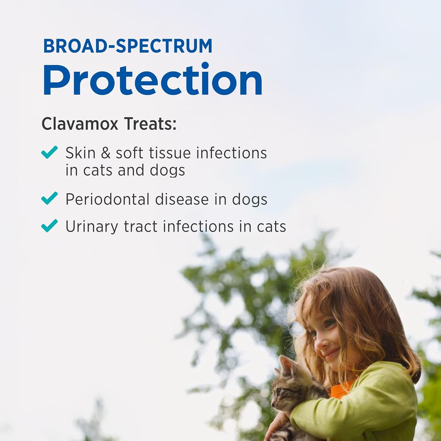 Clavamox amoxicillin and clavulanate potassium veterinary medicine