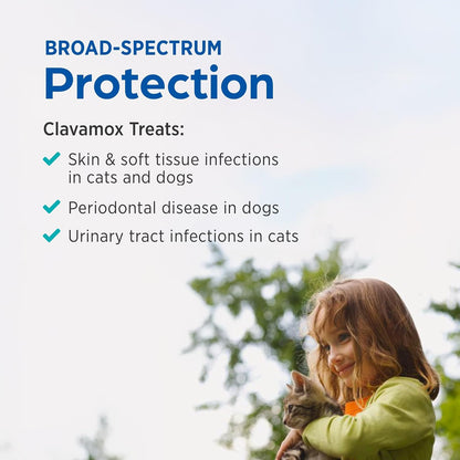 Clavamox amoxicillin and clavulanate potassium veterinary medicine