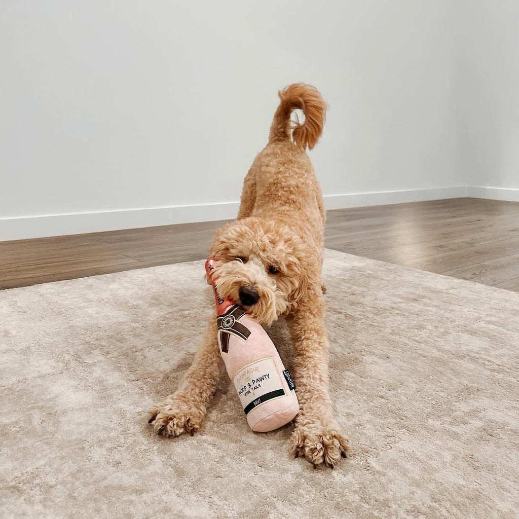 Interactive plush toy with Woof and Pawty label