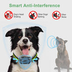 Waterproof dog bark collar for outdoor use
