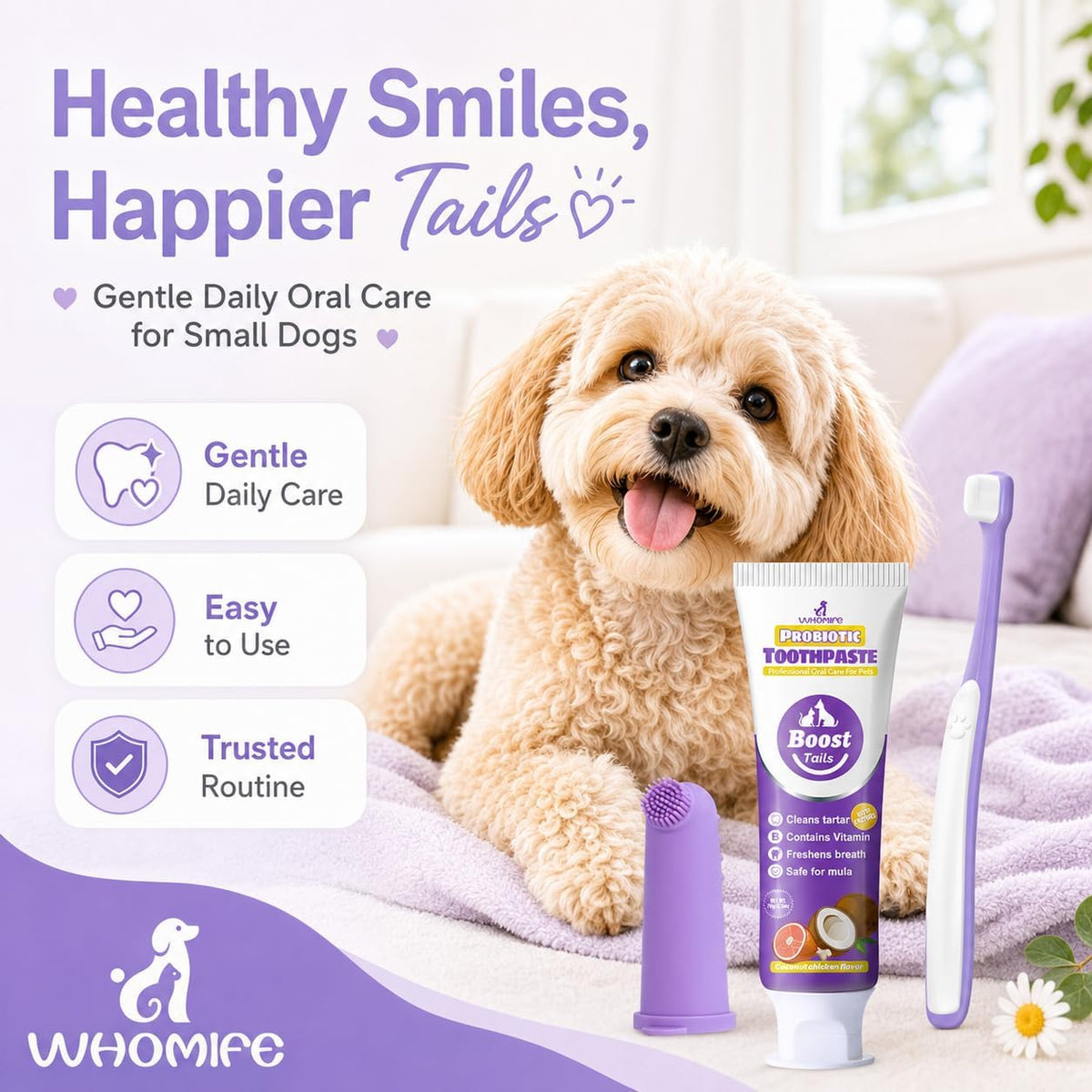 VVHOMIFE authentic imported pet toothbrush and toothpaste routine items highlighting premium packaging