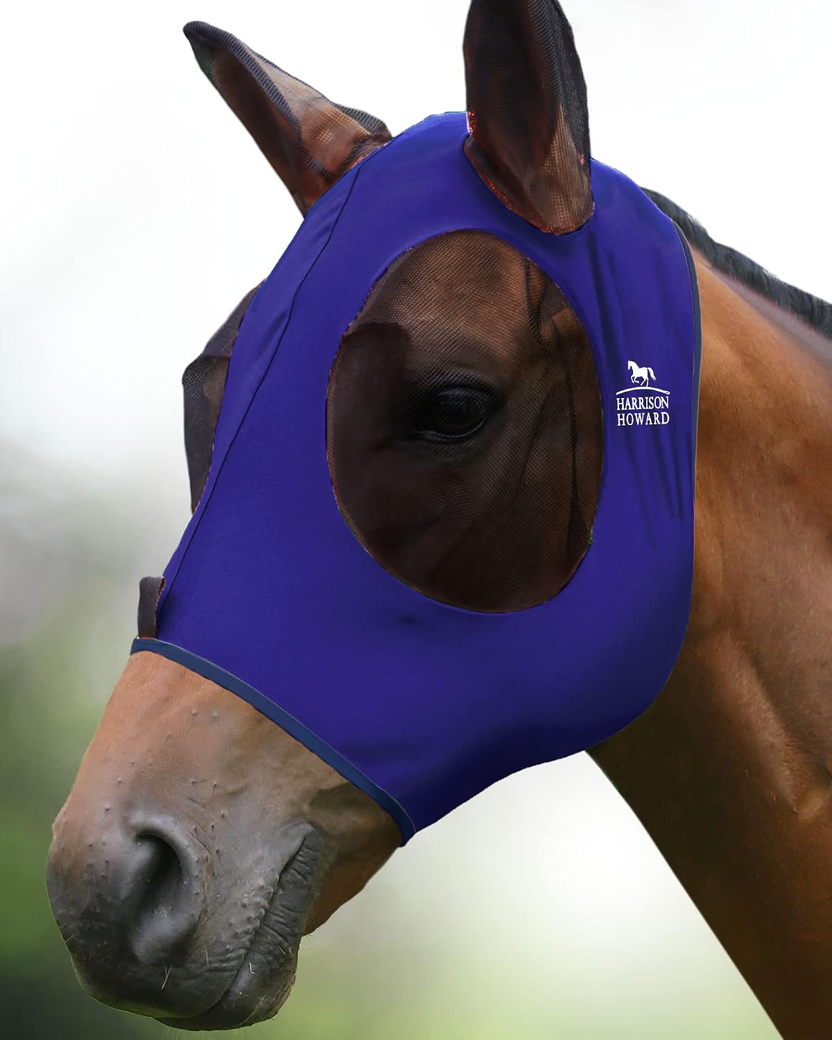 Harrison Howard navy blue stretchy horse fly mask front view
