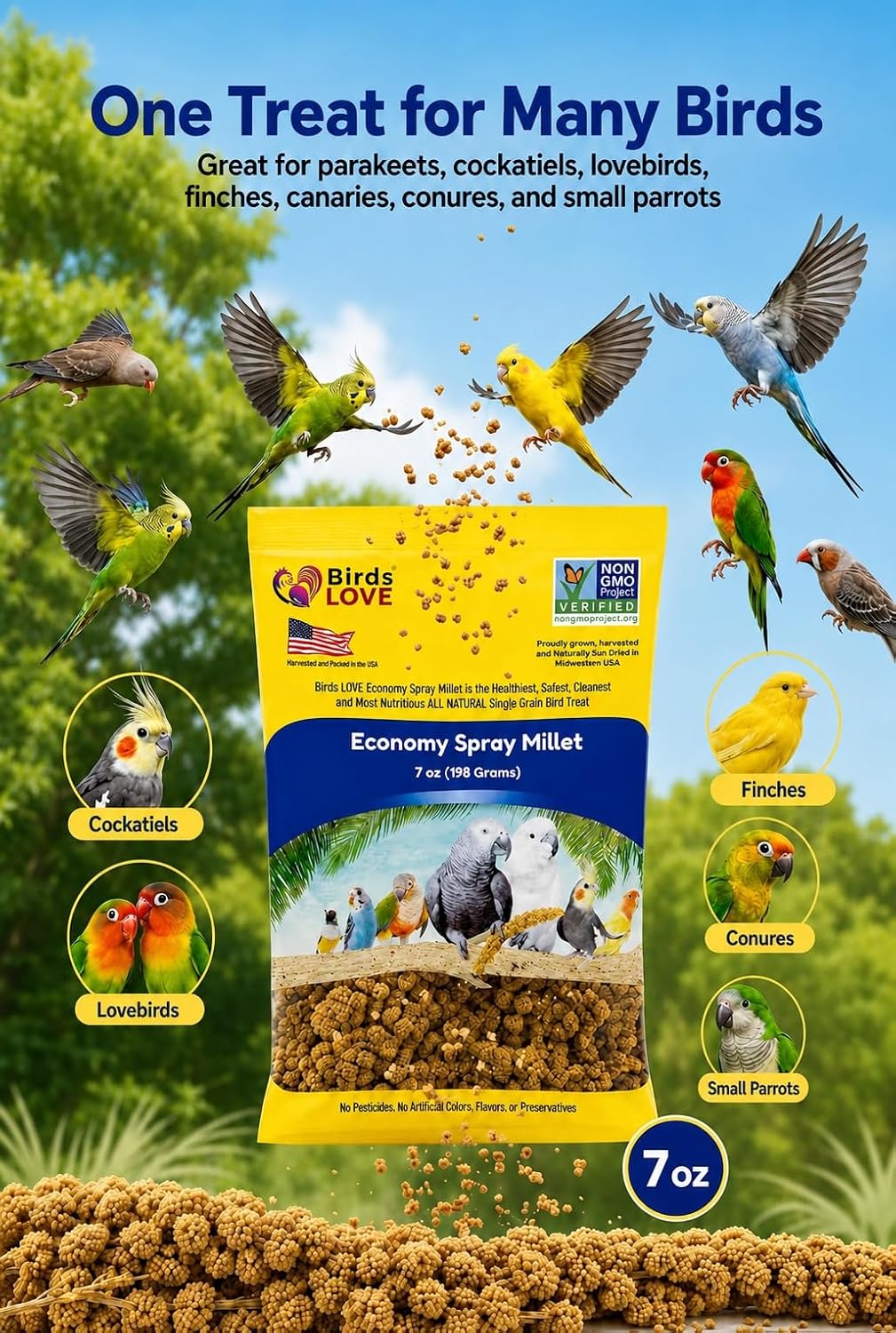 Birds LOVE spray millet close up of edible seed tips