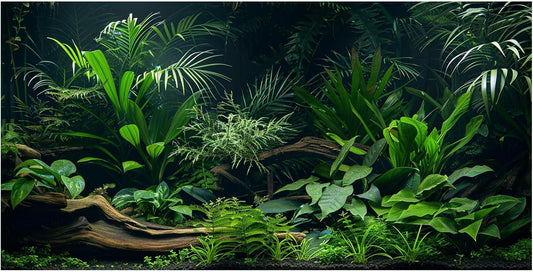 Dizifinn aquarium background front view tropical river bed scene