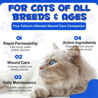 Premium feline skin care supplement spray for hot spots