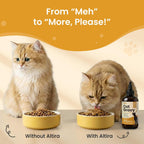 Healthy cat with shiny coat next to Altira chicken gravy topper