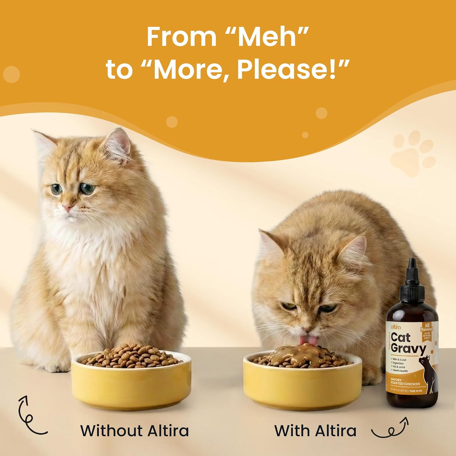 Healthy cat with shiny coat next to Altira chicken gravy topper