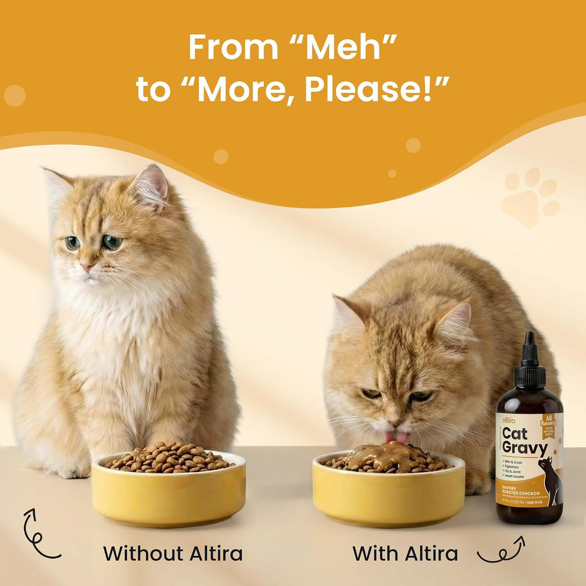 Healthy cat with shiny coat next to Altira chicken gravy topper