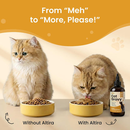 Healthy cat with shiny coat next to Altira chicken gravy topper