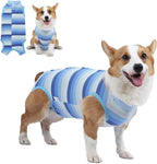 Coppthinktu Dog Surgery Recovery Suit for Dogs Cat Dog Onesie, Dog Recovery Suit Female for Small Medium, Pet Surgical Neuter Post-Surgery Suit E-Collar Alternative Anti Licking Abdominal Wounds - Image 9