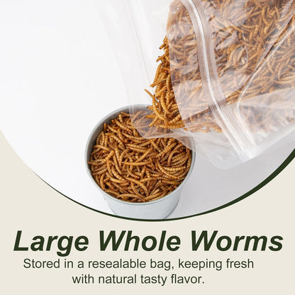 High protein dried mealworms for chickens and ducks