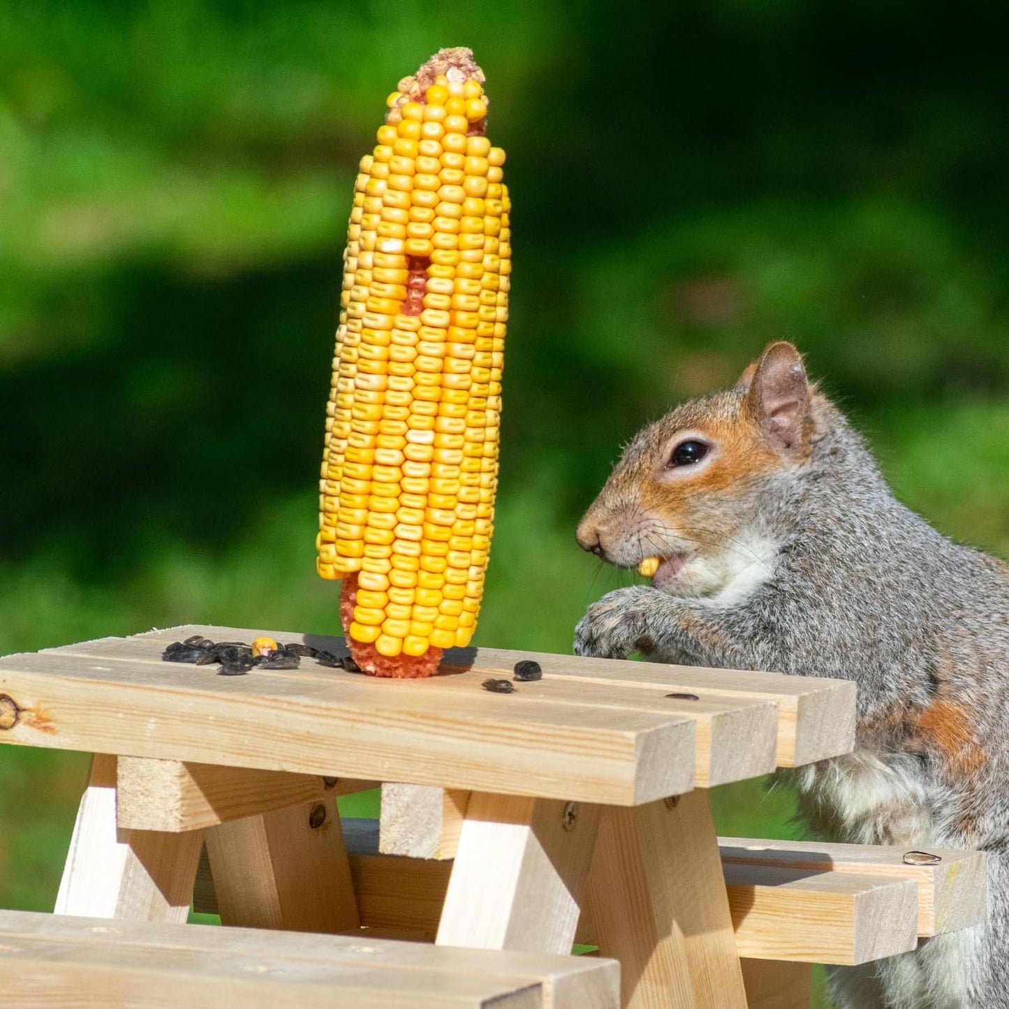 Himsel Farms all natural nutrient rich backyard bird and squirrel food treat
