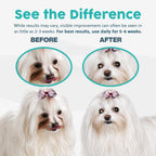Tearplex dietary tear stain fading formula for Maltese and Persian cats