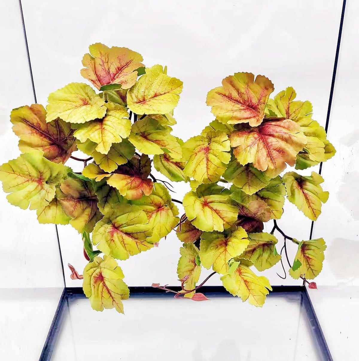 Reptile Plants for Terrarium, Amphibian Habitat Decor Artificial Hanging Plants with Suction Cup, Artificial Plants for Gecko Chameleon Snake Tortoise Tank Accessories. 2-Pack (Monstera) - Image 12