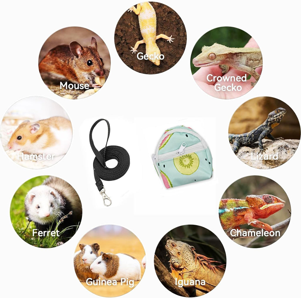 Bearded Dragon Backpack Carrier,Reptile Portable Backpack Carrier with Small Backpack Harness Leash Set,Space Capsule Clear Bubble Window Travel Backpack for Lizard Travel,Guinea Pig,Rabbit - Image 6
