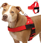 Dog Friendly Co. Dog Harness | Chafe Resistant Webbing, Adjustable Neck & Chest, and Heavy Duty D-Ring | Sturdy, Comfortable, Easy to Use | Pink, Size L - Image 9