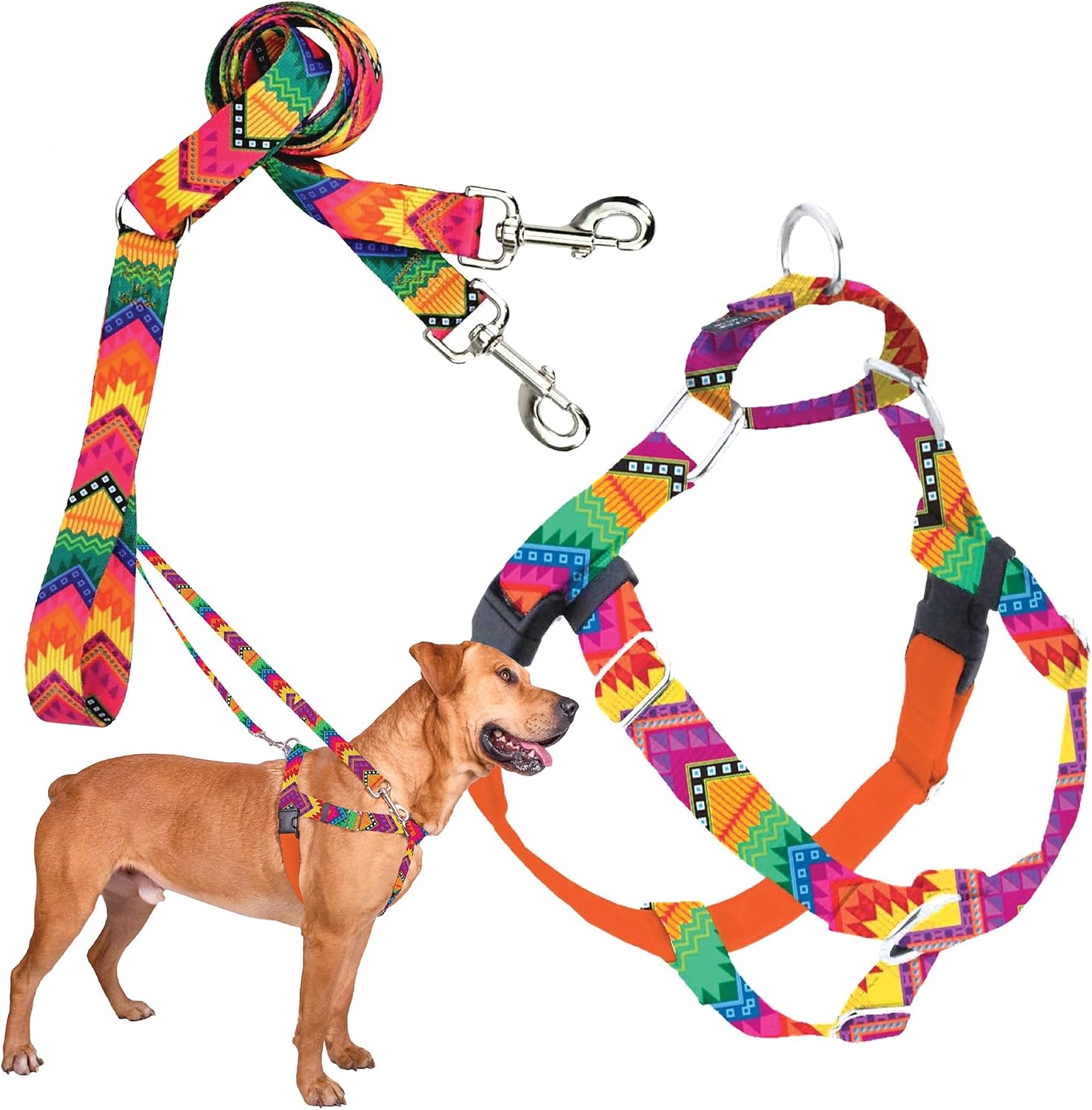 2 Hounds Design Freedom No Pull Dog Harness, Adjustable Harness and Leash Set, Easy Walking & Comfortable Control, Fits Small, Medium & Large Dogs, Solid Colors, Made in USA, 1" LG, Black - Image 13