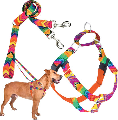 2 Hounds Design Freedom No Pull Dog Harness, Adjustable Harness and Leash Set, Easy Walking & Comfortable Control, Fits Small, Medium & Large Dogs, Solid Colors, Made in USA, 1" LG, Black - Image 13