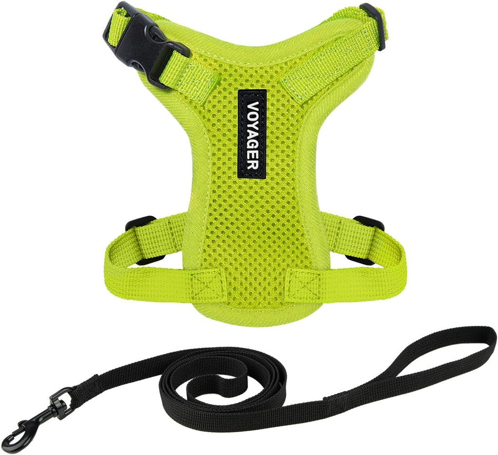 Voyager Escape-Proof Step-in Lock Cat Harness & 5ft Neoprene-Handle Leash Set All-Weather Mesh with Reflective Stitching for Small to Large Cats by Best Pet Supplies, Lime (327), XS - Image 12