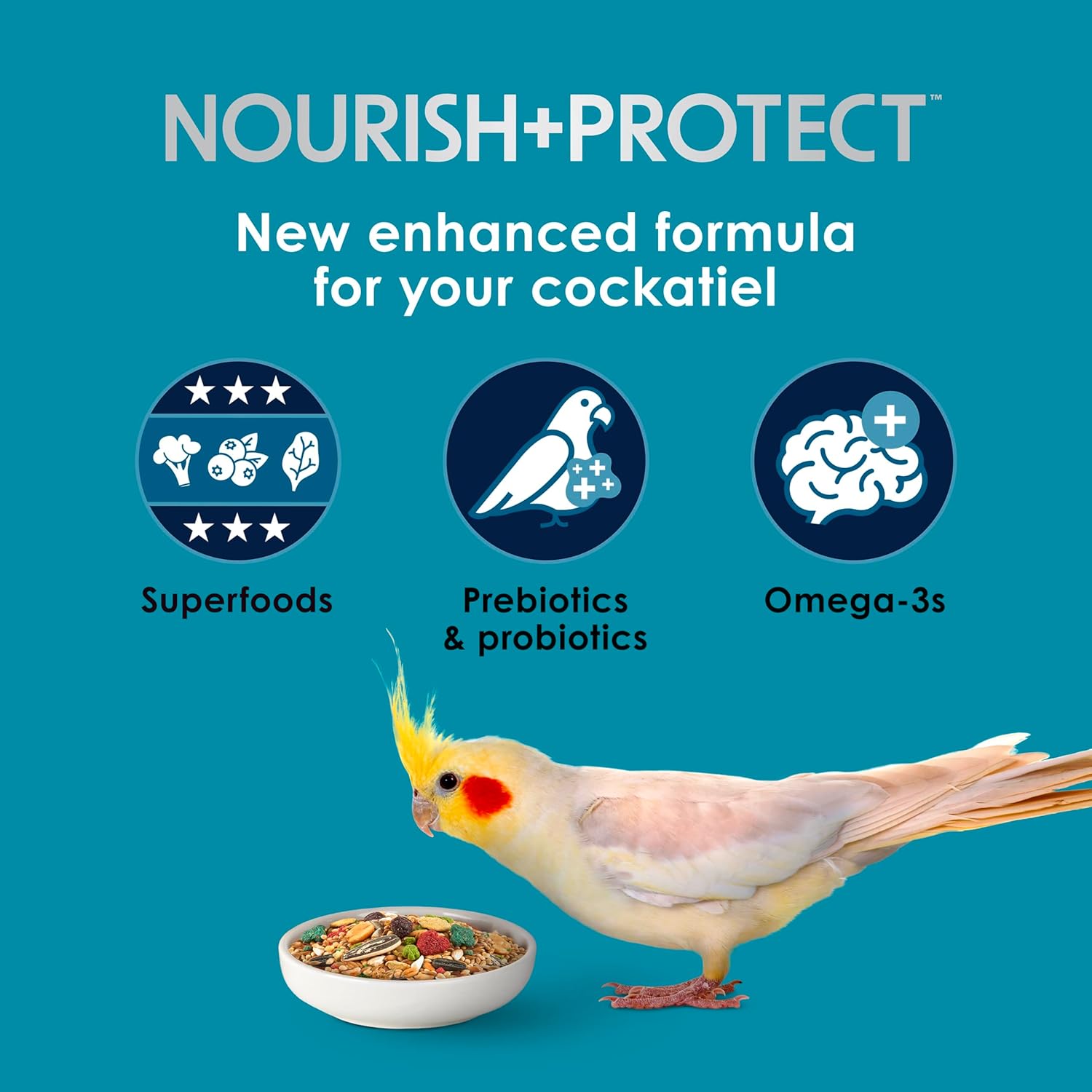 Kaytee Nourish and Protect bird food blend with flaxseed and grains