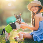 AMIKIND washable male dog diapers pack of three in small size