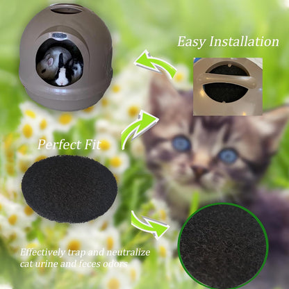 Close up of the porous carbon material that neutralizes cat urine odors.