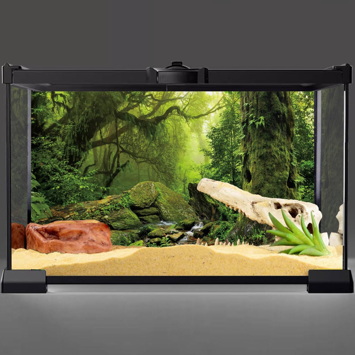 AWERT tropical forest terrarium background front view