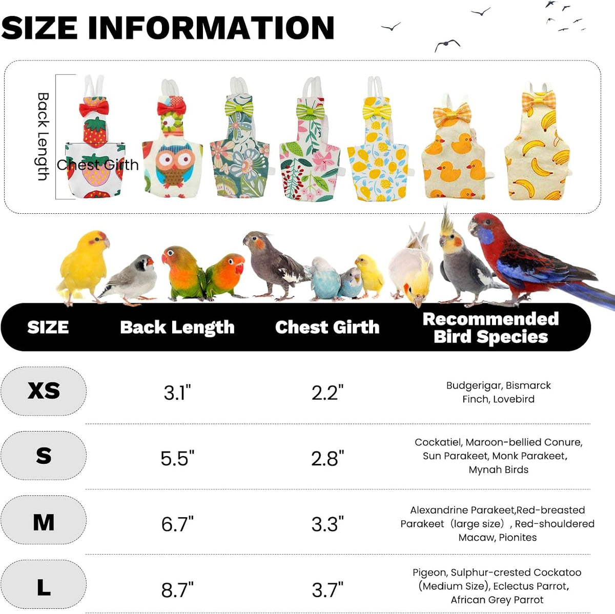Flat lay showing multi-color design options for pet birds
