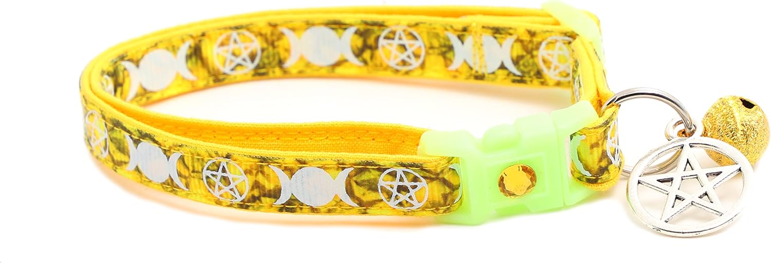 Close up view of pentacle occult charm on Pugs to Persians cat collar