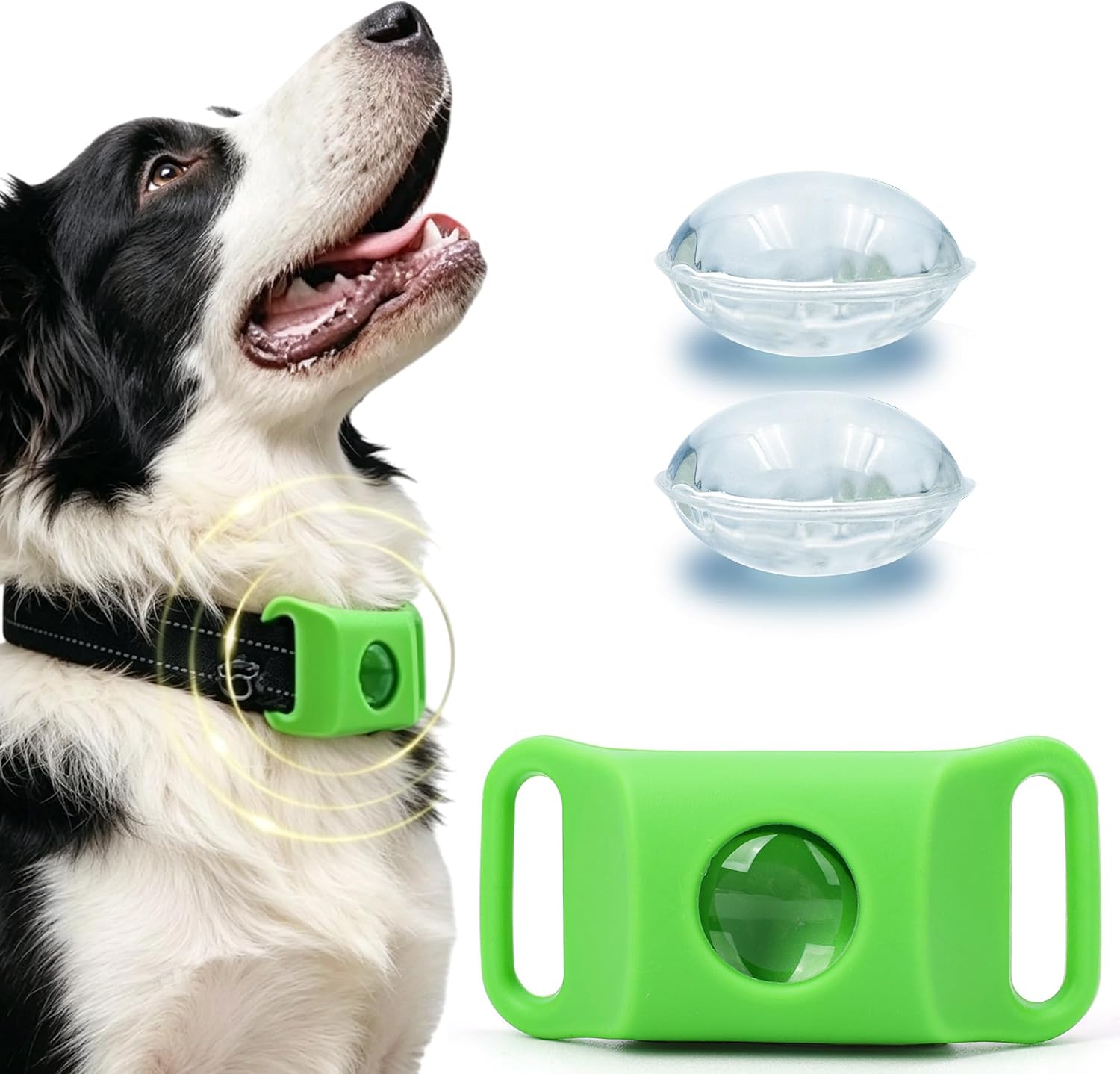 FurLife adjustable collar tag wellness pendant front view on a golden retriever dog