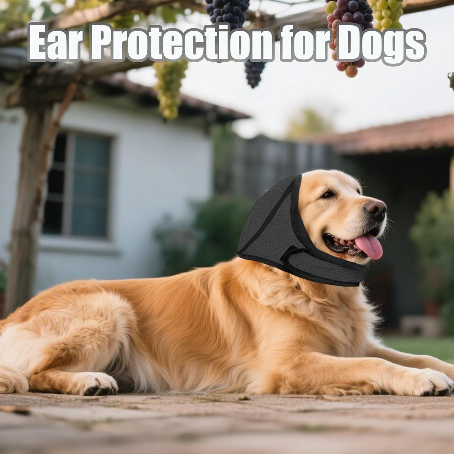 Adjustable strap detail on dog calming ear muff