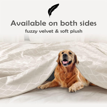 Fuguitex 40 by 60 inch dog blanket protecting a fabric sofa from pet hair and stains.