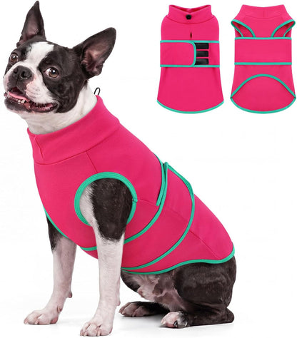 Queenmore Dog Anxiety Vest in rosered medium front view on a dog
