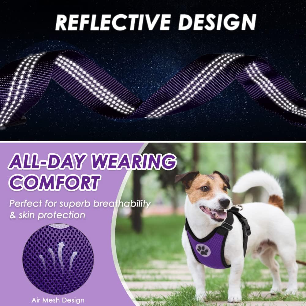 Lukovee purple harness packaged for safe travel