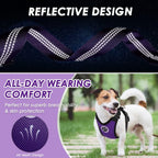 Lukovee purple harness packaged for safe travel