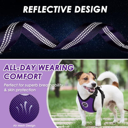Lukovee purple harness packaged for safe travel