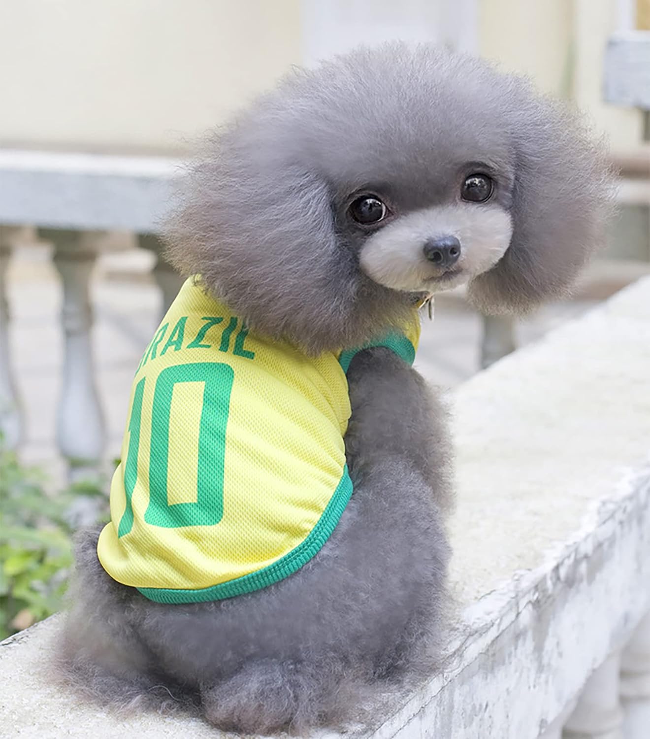 CyberLiving dog football shirt breathable mesh texture