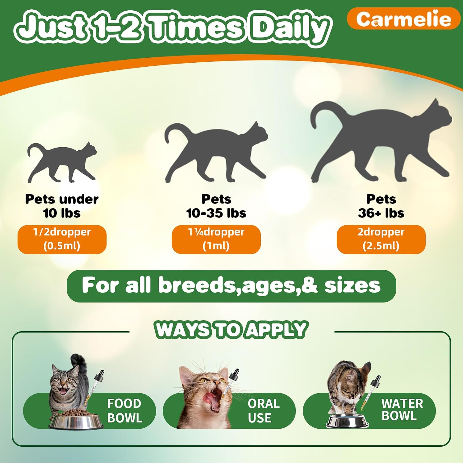 Bacon flavored natural antibiotic liquid drops for cat immune system support