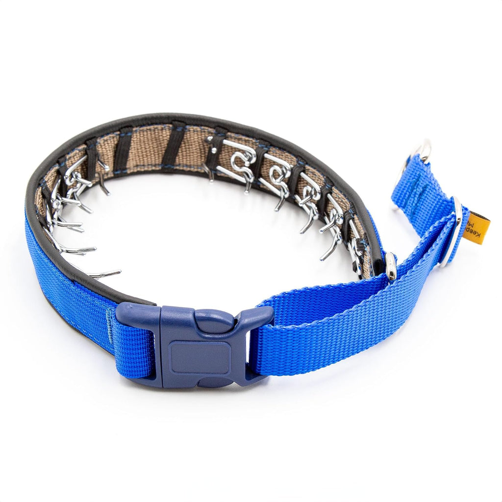 Keeper Collar hidden prong dog collar front view for professional training